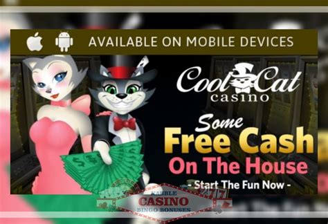 cool cat no deposit codes